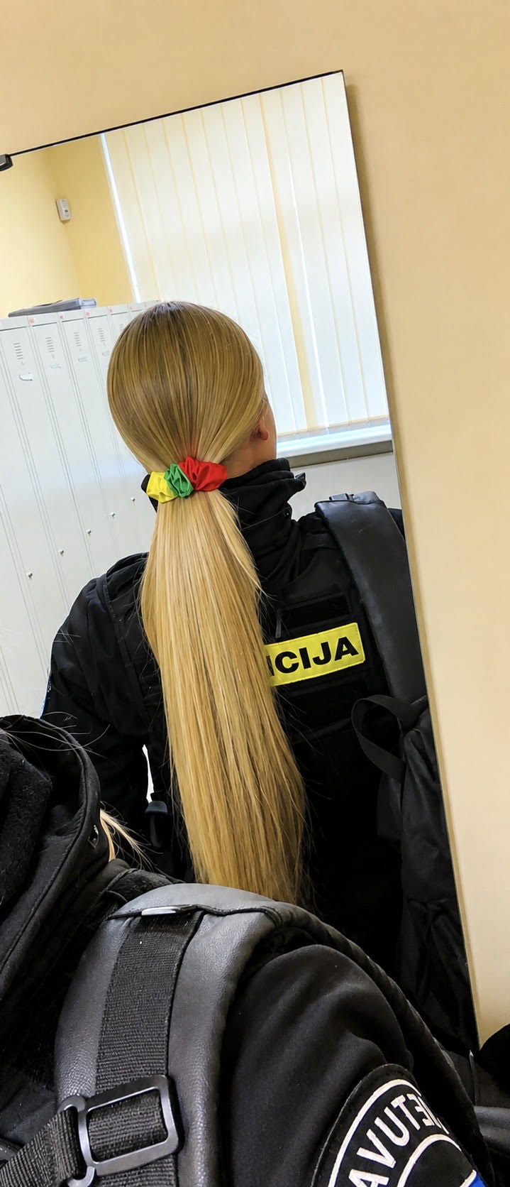 Lietuvos vėliavos spalvų segtukas